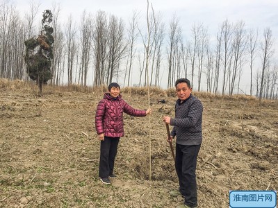 壽縣雙廟集鎮周崗現灣村民組崔世松林業開發合作社成立，推動林業產品銷售