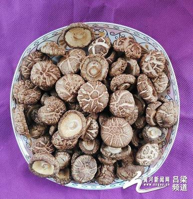 交口縣 '三寶'跨上'高速路'，走出深閨天下識