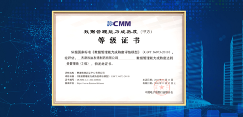 天津和治友德制藥成功通過DCMM貫標(biāo)等級認(rèn)證，信息技術(shù)服務(wù)邁上新臺階